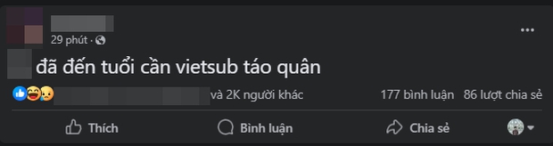 Dân tình than xem Táo Quân phải cần vietsub vì khó nghe, một mỹ nhân phim Việt bị chê thoại như trả bài - Ảnh 4.