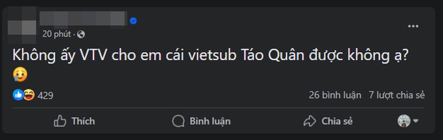 Dân tình than xem Táo Quân phải cần vietsub vì khó nghe, một mỹ nhân phim Việt bị chê thoại như trả bài - Ảnh 3.