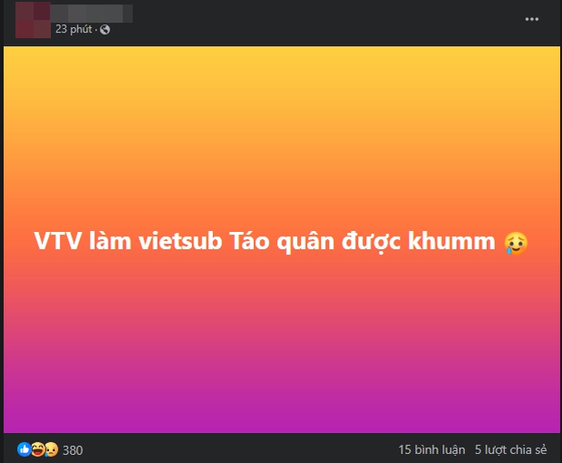 Dân tình than xem Táo Quân phải cần vietsub vì khó nghe, một mỹ nhân phim Việt bị chê thoại như trả bài - Ảnh 2.