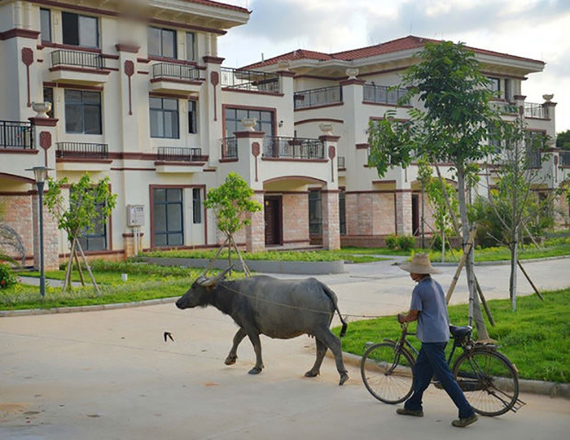 Cậu bé nghèo được cả làng góp tiền cho đi học, sau thành tỷ phú xây 250 căn biệt thự trả ơn bà con - ảnh 5