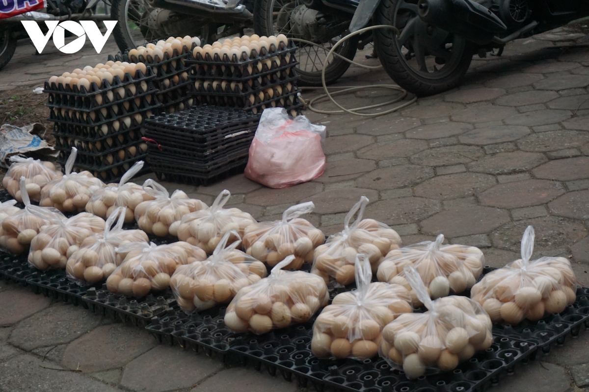 nguoi chan nuoi mang trung ga sieu re ban tren via he ha noi hinh anh 2