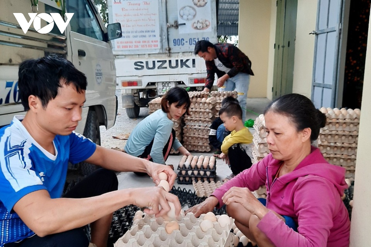 nguoi chan nuoi mang trung ga sieu re ban tren via he ha noi hinh anh 3