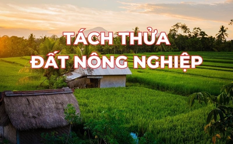 Đất nông nghiệp được chuyển thành đất thổ cư theo quy định 