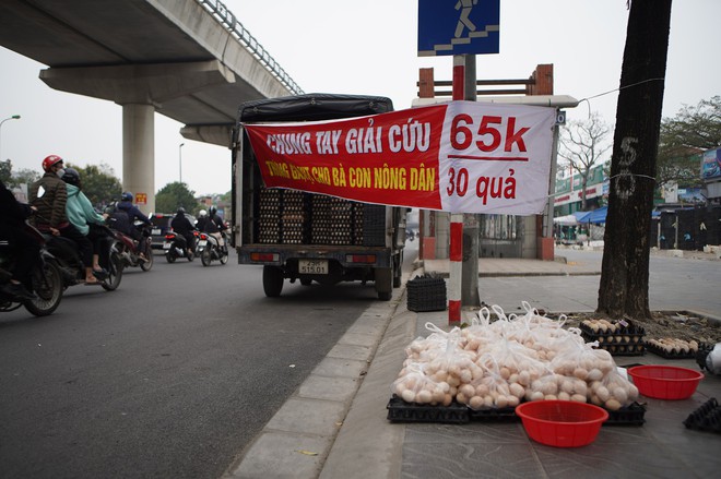 Sự thật chuyện giải cứu trứng gà 65.000 đồng 30 quả tràn lan trên vỉa hè Hà Nội - Ảnh 1.