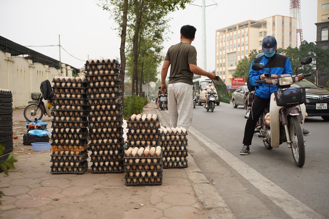 Sự thật chuyện &quot;giải cứu trứng gà 65.000 đồng 30 quả'' tràn lan trên vỉa hè Hà Nội - Ảnh 5.