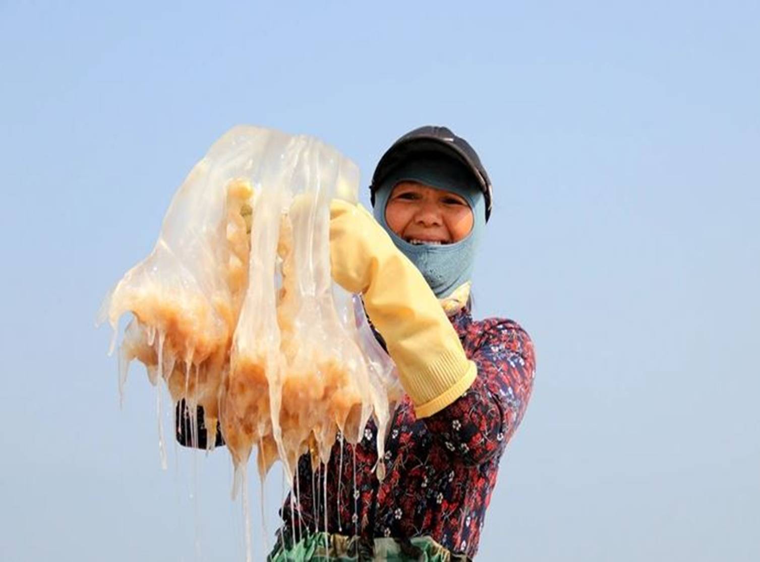 Ngư dân cắt nhỏ sứa trộn với cát biển, dân tình phẫn nộ vì mất vệ sinh, nghe giải thích mới ngỡ ngàng-1