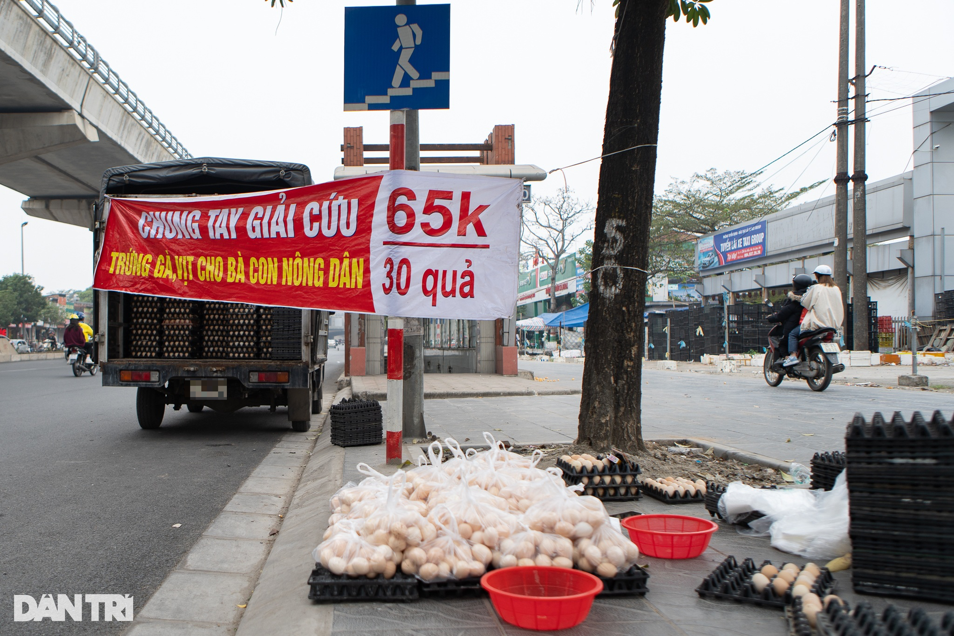 Sự thật chiêu giải cứu trứng gà giá siêu rẻ bán tràn vỉa hè Hà Nội - 1