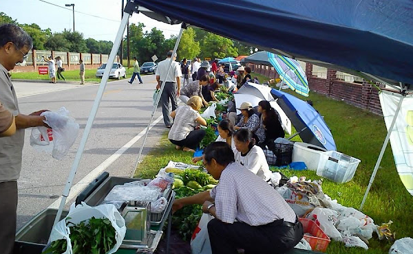 Hoá ra ở Mỹ cũng có chợ cóc y hệt như Việt Nam, người mua ngṑi amp;#34;chṑm hổmamp;#34; chọn hàng - 5