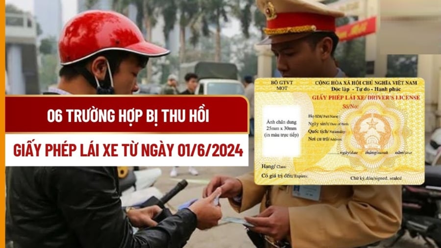 Có 6 trường hợp bị thu hṑi giấy phép ʟái xe ⱪể từ 1/6/2024