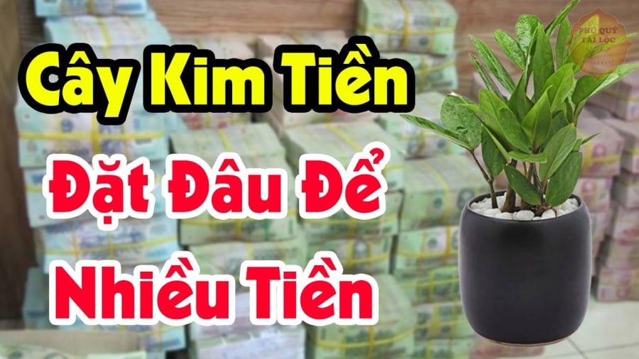 Đặt kim tiền ở đây để hút tài lộc giàu có vào nhà 