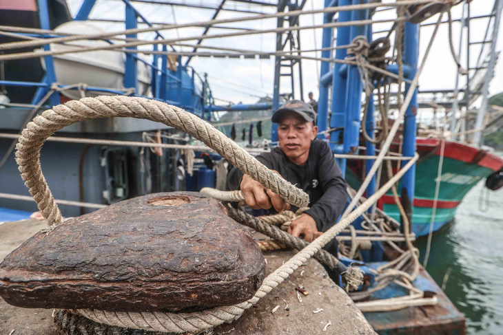 Hà Nội mưa trắng trời, cây xanh ngã đè người đi đường bất tỉnh - Ảnh 2.