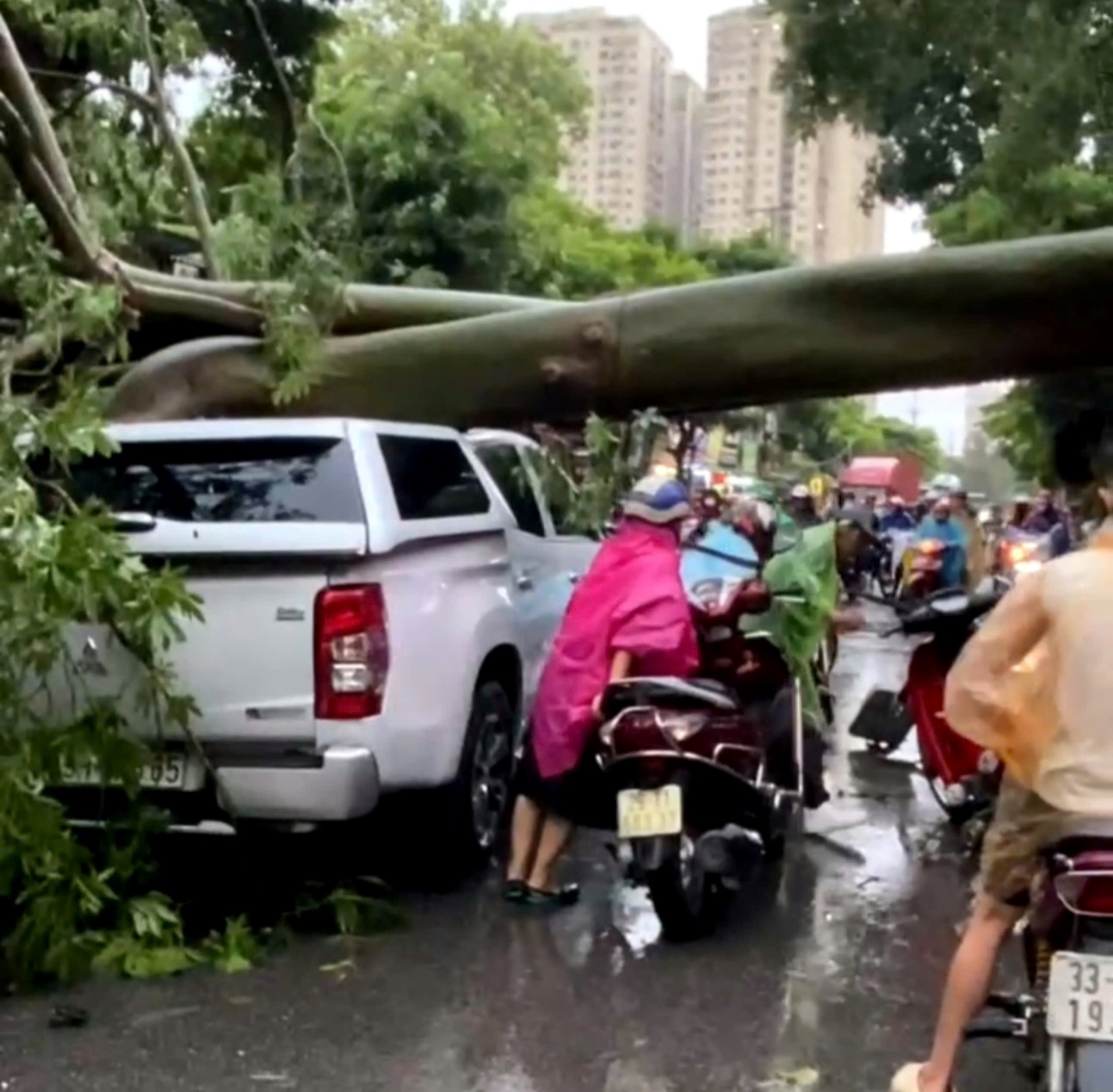 Mưa lớn, cây đổ đè trúng 2 người đi đường, 1 người tử vong ở Hà Nội- Ảnh 2.