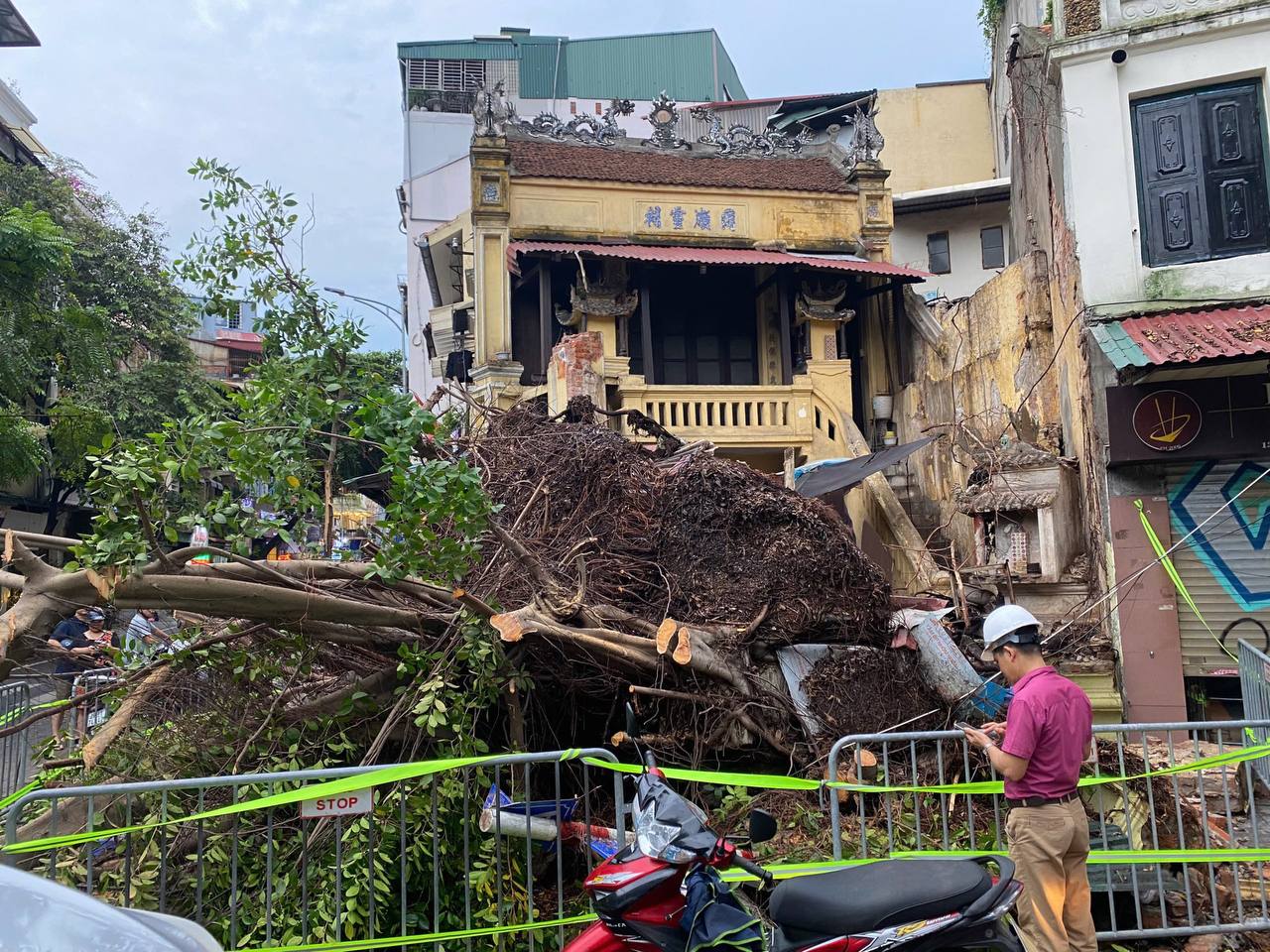 Trực tiếp: Siêu bão Yagi chưa đổ bộ đã gây mưa lớn ở Hà Nội, cây đổ đè chết người, sập tường nhà cổ- Ảnh 8.