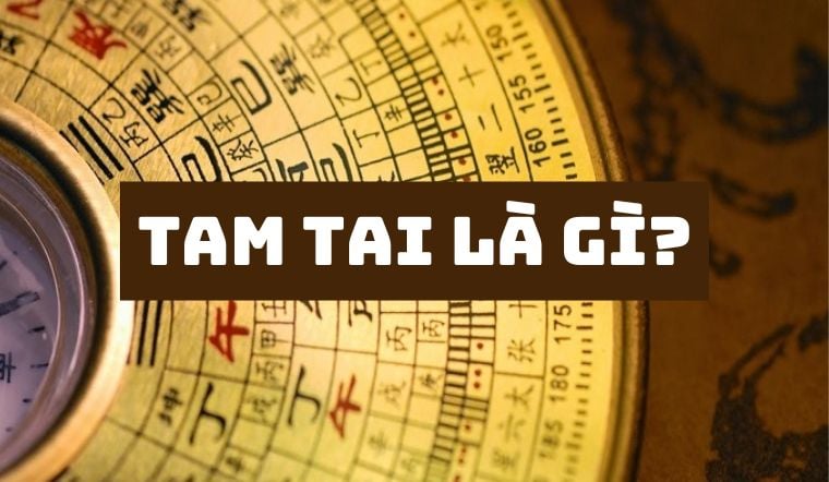 Những con giáp dính Tam Tai năm 2025