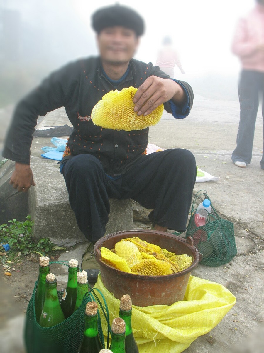 Tổ ong vàng óng này là thật, gương mặt này là thật, nhưng ai dám chắc những chai mật ong đóng sẵn kia không phải hàng rởm?. Ảnh: P.V