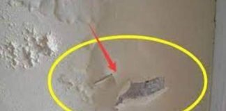Mẹo xử lý tường nhà mốc lở, bong tróc: Cực dễ, không tốn tiền, nhà nào cũng làm được