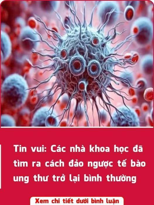 539107829_122254563728231462_552879210400625266_n