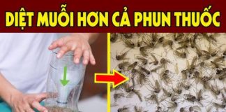 Trộn bia với đường hoặc bột giặt: Hỗn hợp tuyệt vời giải quyết vấn đề nhà nào cũng gặp, không biết thì phí