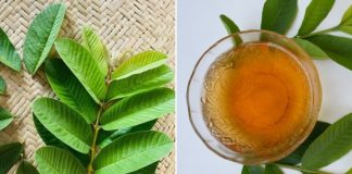 Những lợi ích tuyệt vời của nước lá ổi mà ít người biết