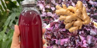 Uống nước lá tía tô gừng, cơ thể nhận được lợi ích đặc biệt này