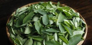 Loại rau dại được ví như ‘lộc trời’, chỉ ăn sương vẫn tươi tốt, được săn lùng nhất chợ