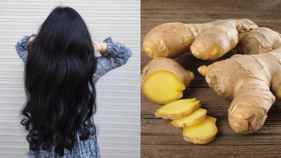Gội ᵭầu bằng nước gừng có tác dụng tṓt ᵭṓi với việc giảm rụng tóc, ⱪích thích mọc tóc.