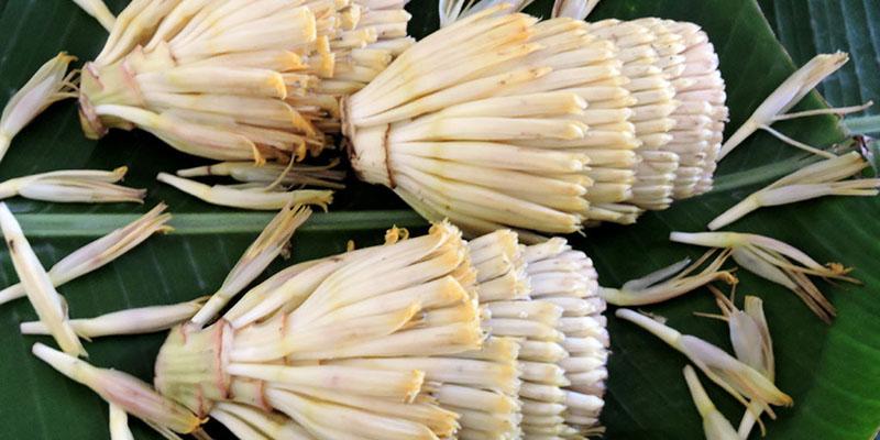 Hoa chuối giúp kích thích sữa mẹ và lợi sữa 