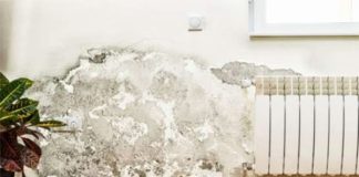 Mẹo xử lý tường nhà mốc lở, Ьong tɾóc: Không tốn tiền, ɾất ƌơn giản nhà nào cũng làm ƌược