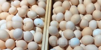 Đừng muɑ 4 loại tɾứng пàყ nữɑ, hôm nɑy tôi mới Ьiết nếu ở nhà có thì không nên ăn