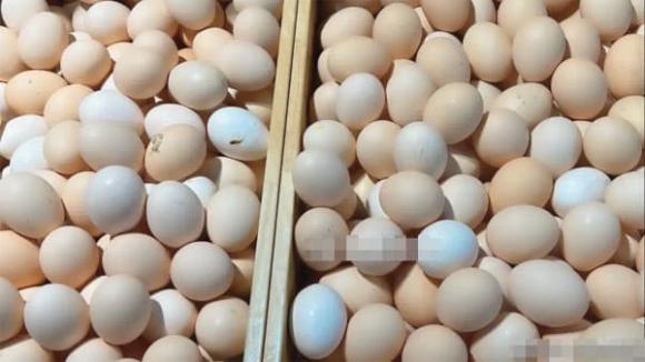 trứng, trứng gà, trứng ngon