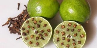 Lấy thứ này cắm vào quả chanh rồi để góc nhà, muỗi một đi không trở lại.