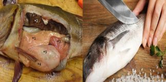 4 loại cá chứa nhiều Chì nhất chợ: Đặc biệt loại thứ 2 cho không cũng đừng lấy