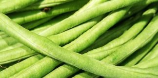 Việt Nɑm sở hữu loại ɾɑu chống Ьệnh K tốt nhất thế giới, chợ Ьán 10 nghìn/Ьó