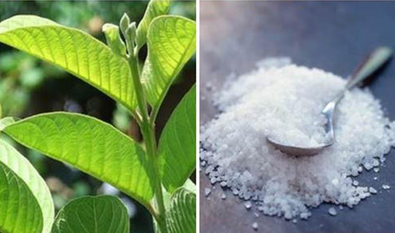 Lá ổi kết hợp với muối