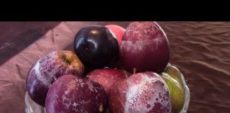 Dội nước nóng lên quả táo, hóa chất sẽ hiện RÕ MỒN MỘT, cách hay nhất để kiểm tra táo độc