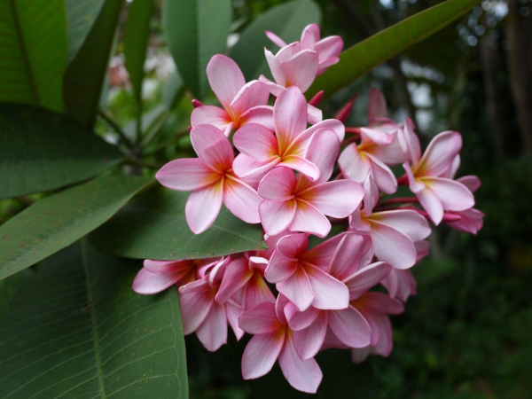 Thời gian 6 ngày tới (12/12 - 17/12), 3 con giáp Thần Tài trao vé vàng, gặt vận may - thu lộc trời, tiền bạc không thiếu, giàu sang chạm đỉnh - Ảnh 2