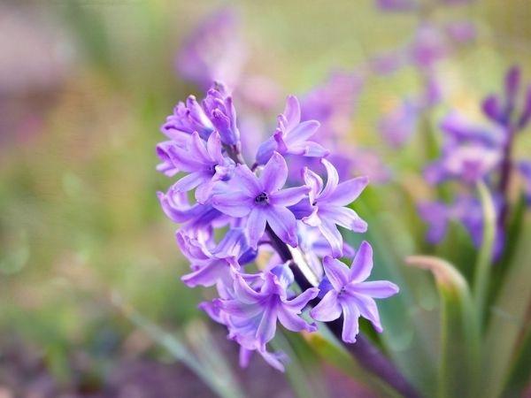 Tử vi 4 ngày liên tiếp (7, 8, 9 và 10/12), 3 con giáp thóc lúa đầy bồ, tiền bạc đầy két, đời vận lên hương, giàu sang Phú Quý ngút trời - Ảnh 3