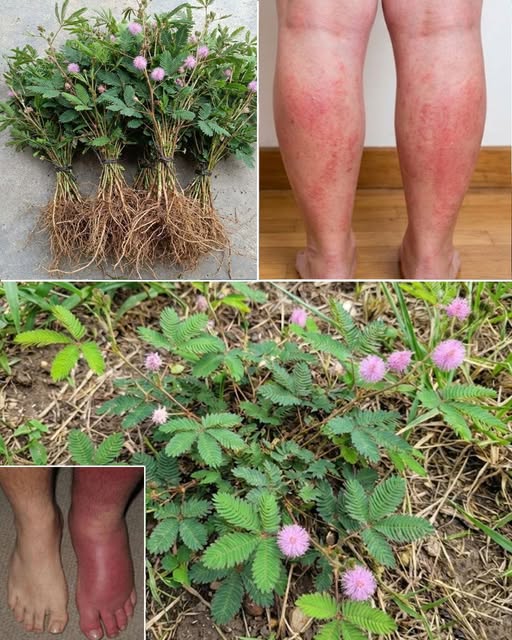 605200384_122160051164878467_3836300923590195197_n