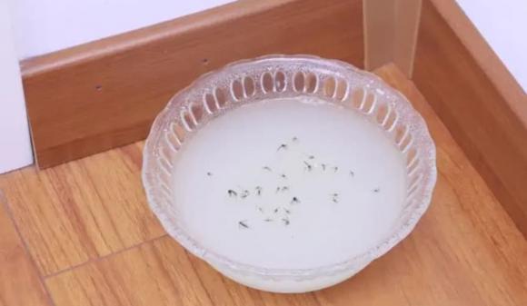 Đuổi muỗi hiệu quả