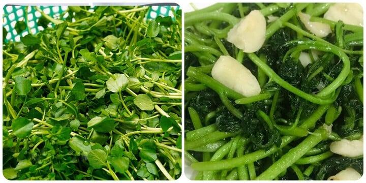 ipiccyimage-24-19453337