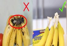 Chuối chín đừng vội cho vào tủ lạnh, làm thêm bước này để cả tháng không nhũn, không thâm đen