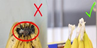 Chuối chín đừng vội cho vào tủ lạnh, làm thêm bước này để cả tháng không nhũn, không thâm đen