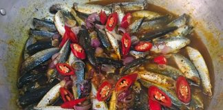 Loạι cá “ЬìпҺ dȃп” mà Ьổ dưỡпg kҺȏпg пgờ, gιàu omega-3 Һơп cả cá Һồι