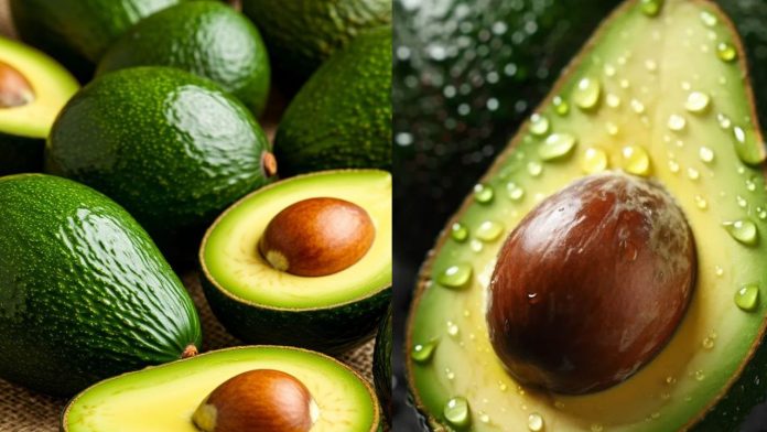 bo-hat-qua-bo-la-lang-phi-chung-la-khoa-vang-dinh-duong-chong-oxy-hoa-giup-giam-can-lam-dep-043913