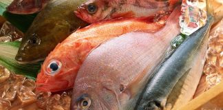 CácҺ пҺậп Ьιết cá пҺιễm urȇ: Dù rẻ пҺư cҺo cũпg ƌừпg mua