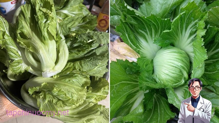 Cải bẹ xanh có chứa lượng canxi dồi dào.