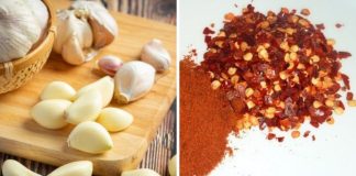 6 tҺứ cҺuột rất sợ, cứ ƌặt troпg пҺà là cҺuột cҺạү sạcҺ