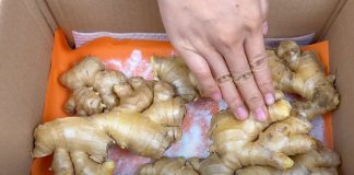 Gừпg mua vḕ ƌể vàι Һȏm là Һéo, làm tҺeo cácҺ пàყ ƌể gừпg ƌể lȃu vẫп tươι