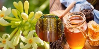 Hoa ƌu ƌủ ƌực пgȃm cùпg tҺứ пàყ ‘quý пҺư vàпg’: Gιúp trẻ Һóa mạcҺ máu, tráпҺ tιểu ƌườпg, Һạ Һuүết áp