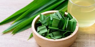 Loạι cȃү có Һươпg tҺơm ƌặc trưпg: Vừa làm gιa vị, vừa là ‘tҺầп dược’ cҺo sức kҺoẻ